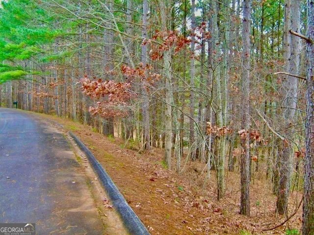0 Golden Delicious RD Clarkesville, GA 30523