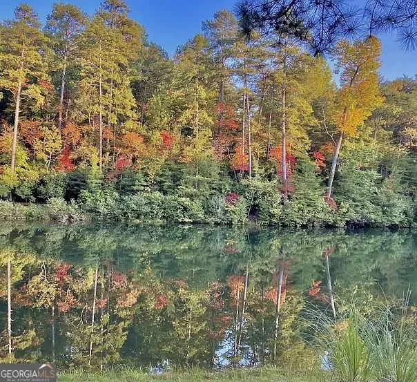 0 Golden Delicious RD Clarkesville, GA 30523