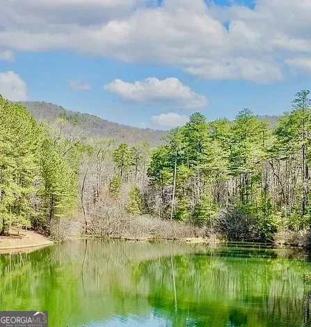 0 Golden Delicious RD Clarkesville, GA 30523