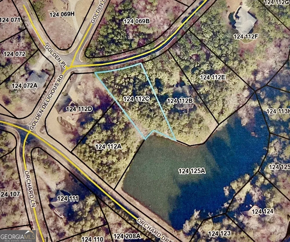0 Golden Delicious RD Clarkesville, GA 30523