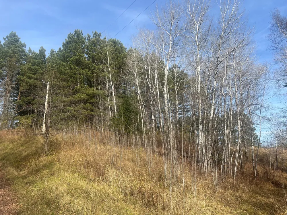 0000 Wick Road Saginaw, MN 55779