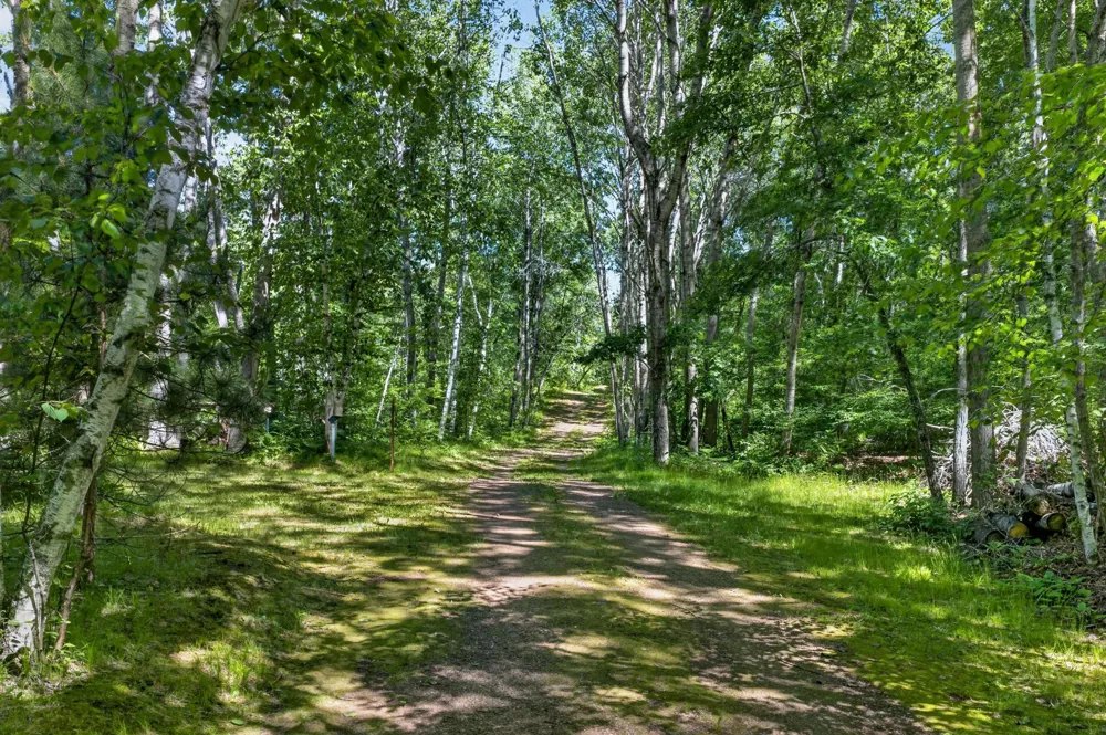W6151 River Road Trego, WI 54888