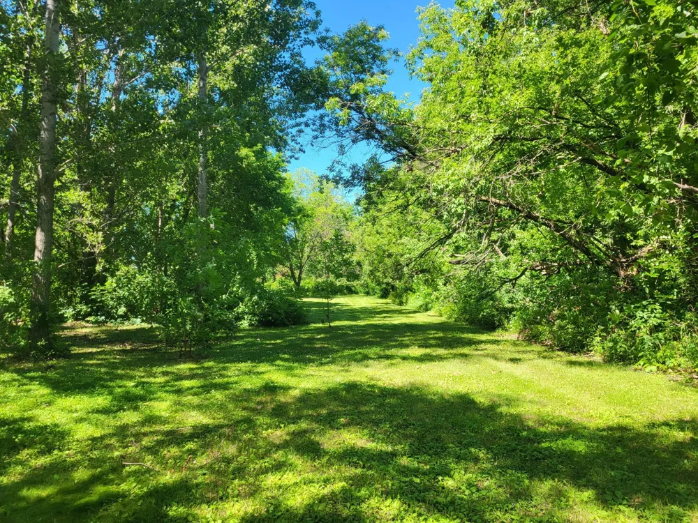 Lot 5 Big Chip Trail NW Garfield, MN 56332