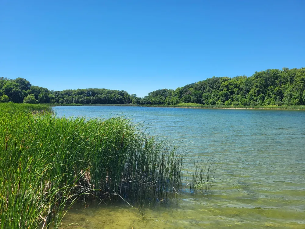 Lot 5 Big Chip Trail NW Garfield, MN 56332