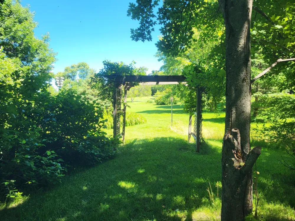 Lot 5 Big Chip Trail NW Garfield, MN 56332