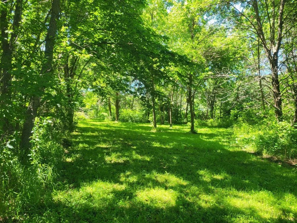 Lot 5 Big Chip Trail NW Garfield, MN 56332