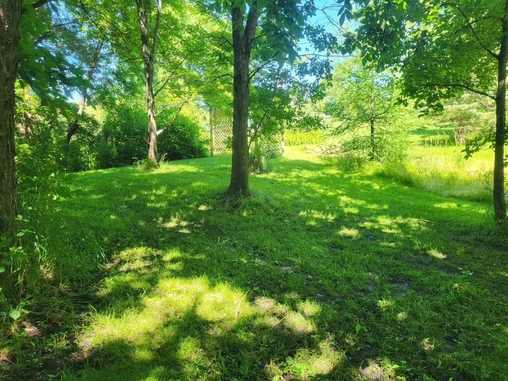 Lot 5 Big Chip Trail NW Garfield, MN 56332