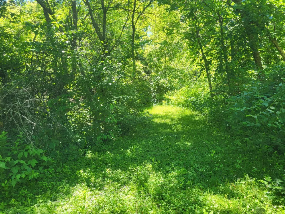 Lot 5 Big Chip Trail NW Garfield, MN 56332