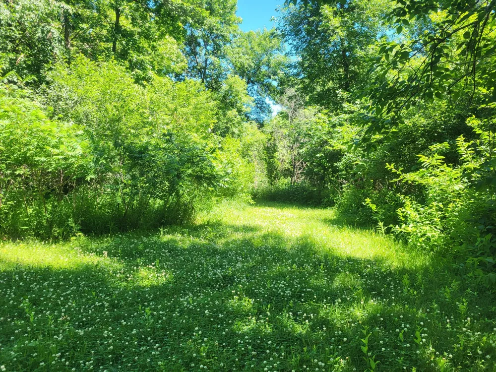 Lot 5 Big Chip Trail NW Garfield, MN 56332