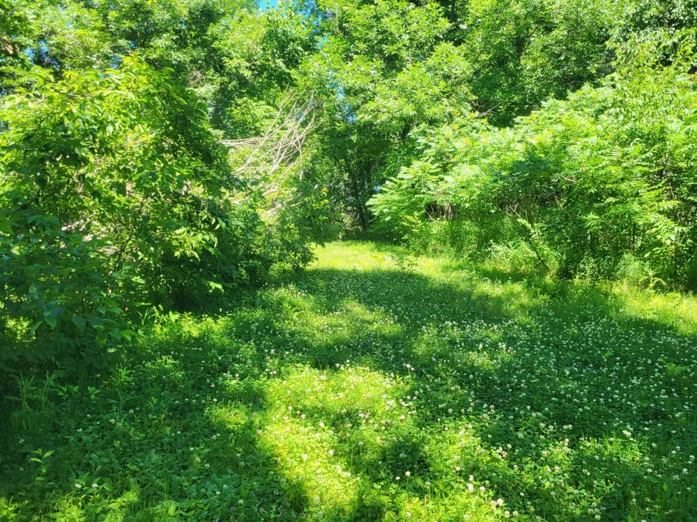 Lot 5 Big Chip Trail NW Garfield, MN 56332