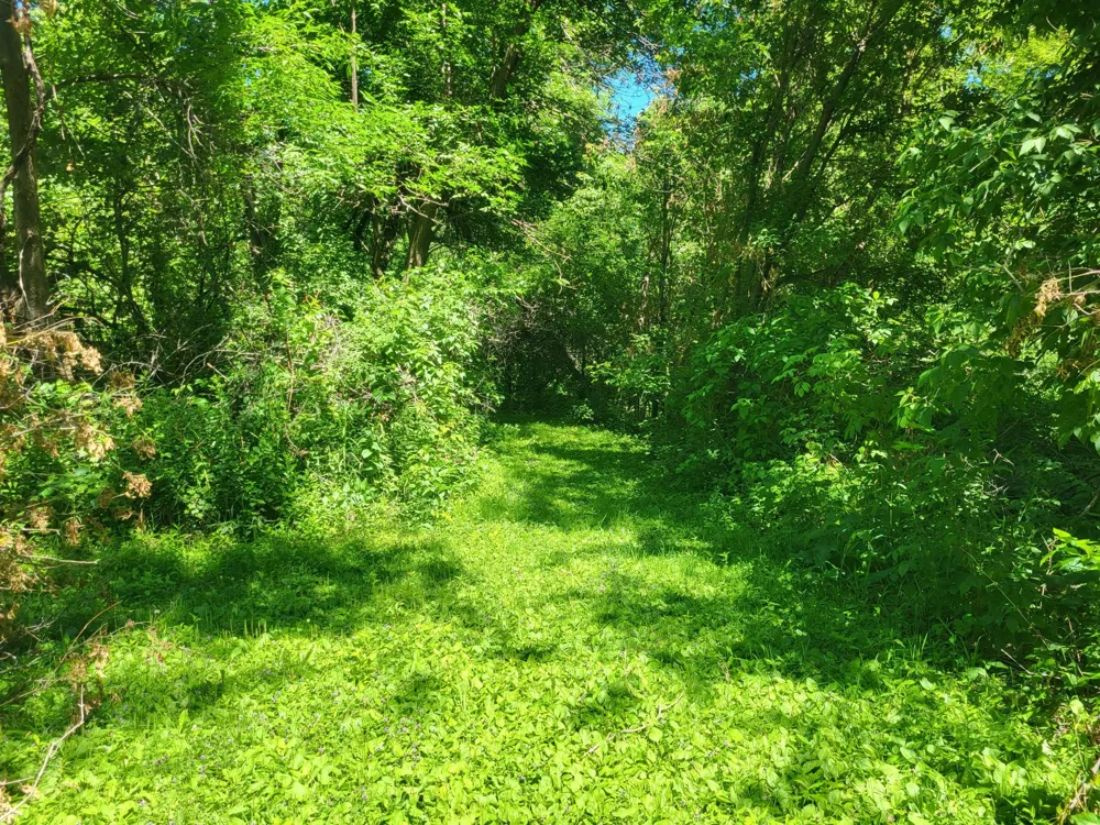 Lot 5 Big Chip Trail NW Garfield, MN 56332