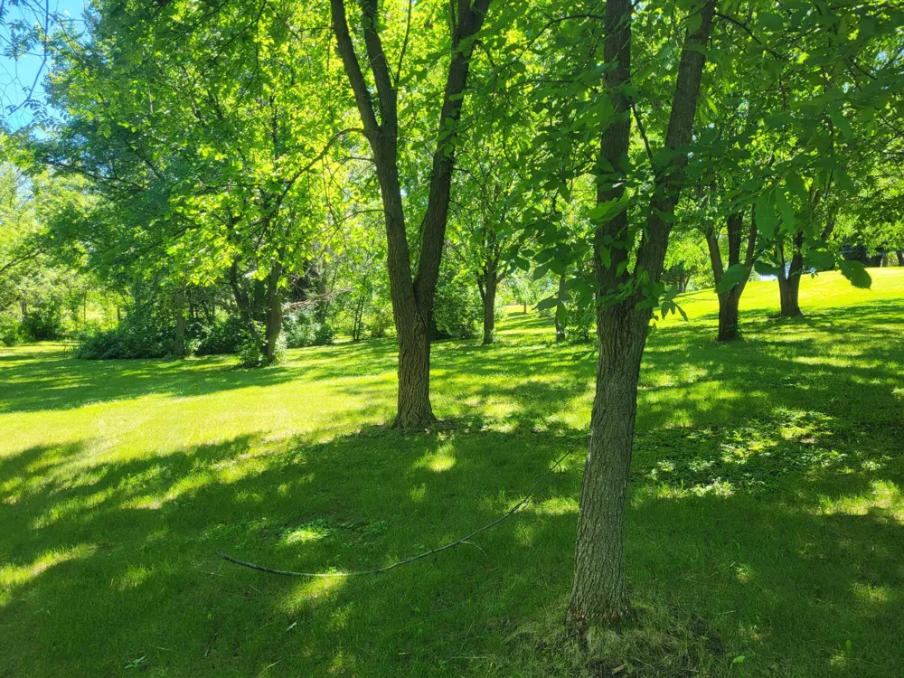 Lot 5 Big Chip Trail NW Garfield, MN 56332