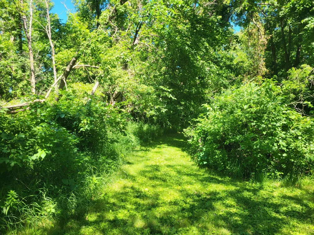Lot 5 Big Chip Trail NW Garfield, MN 56332