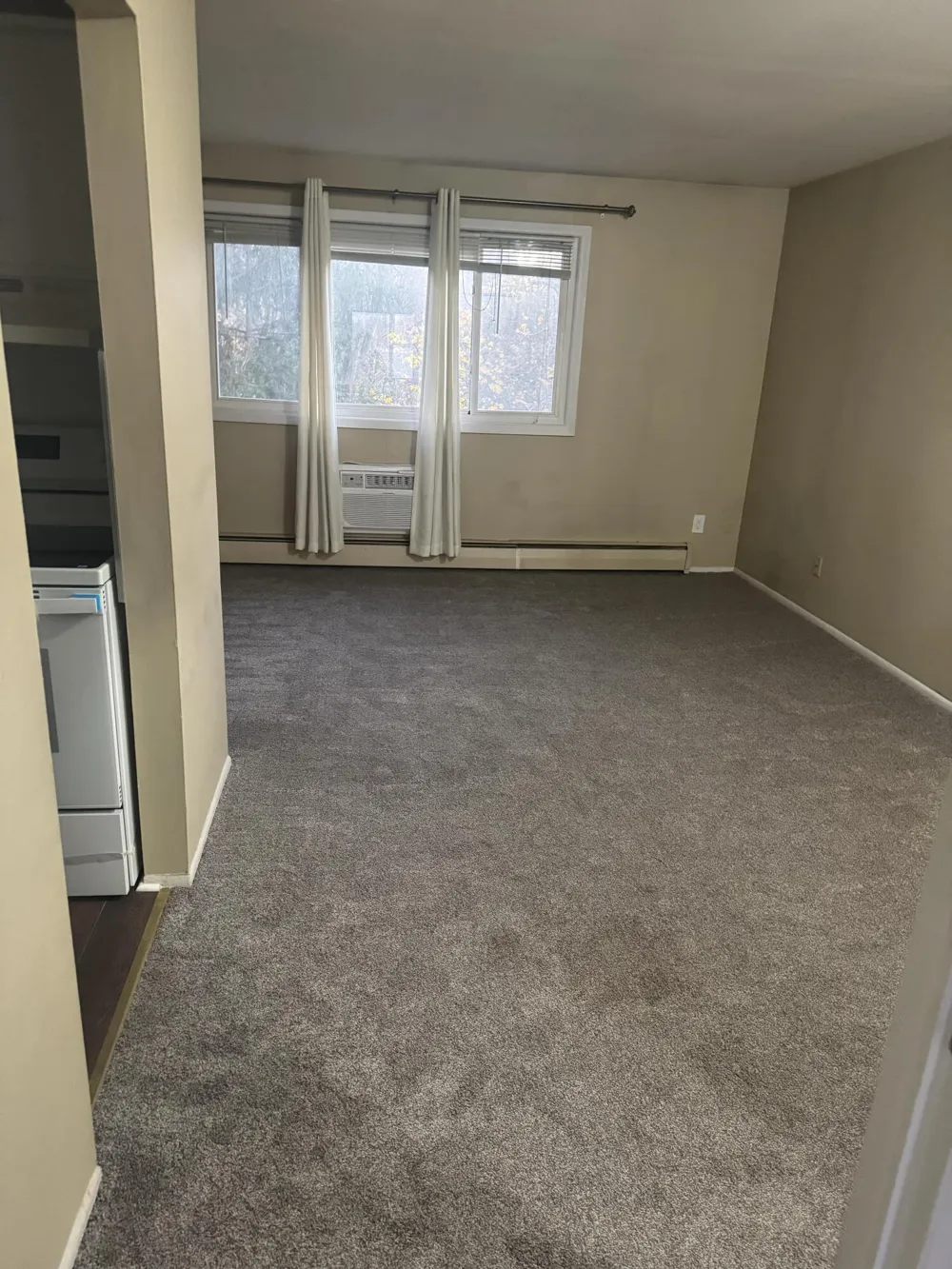 31831 Grand River Avenue #3 Farmington, MI 48336
