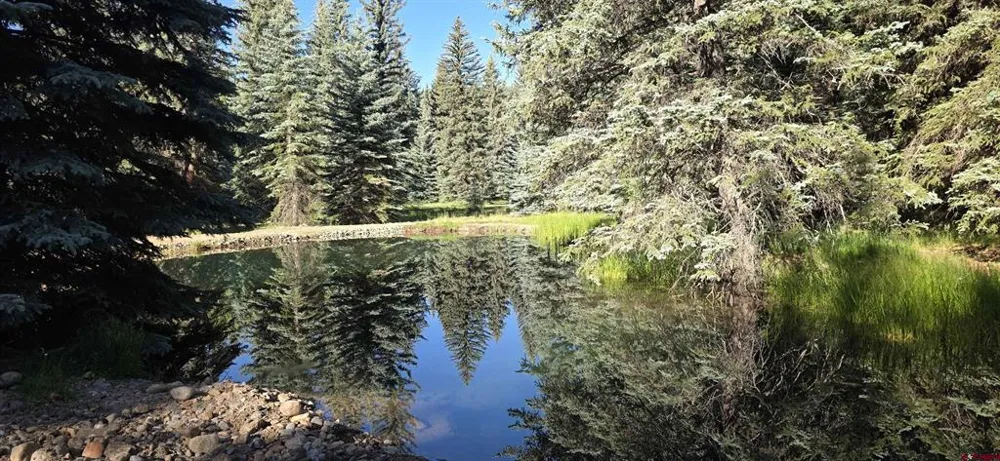 201 Golden Forest RD Bayfield, CO 81122