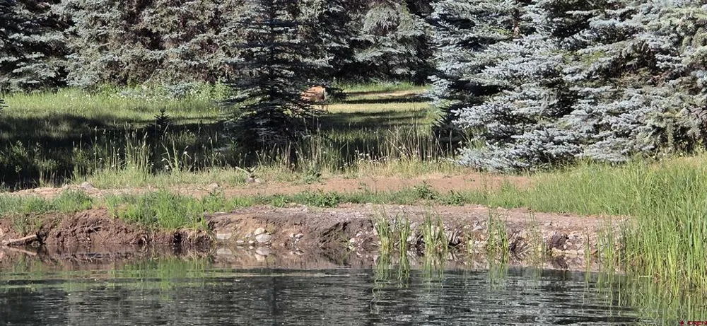 201 Golden Forest RD Bayfield, CO 81122