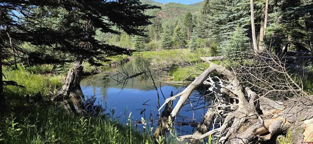 201 Golden Forest RD Bayfield, CO 81122
