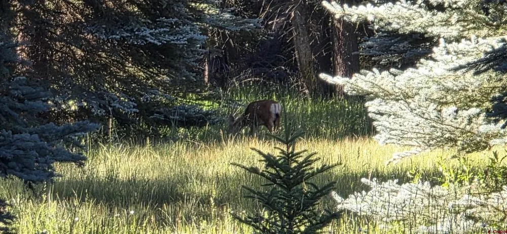 201 Golden Forest RD Bayfield, CO 81122