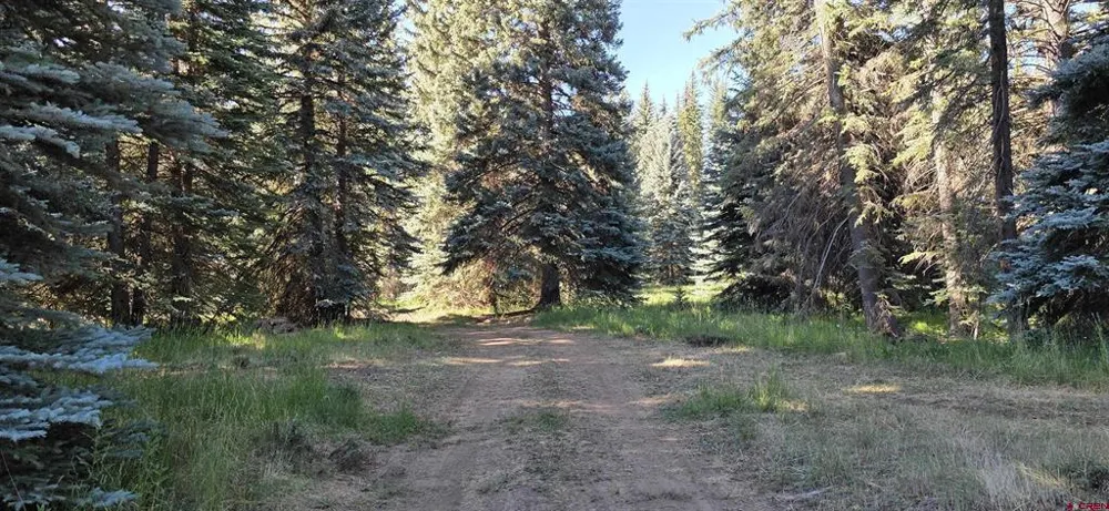201 Golden Forest RD Bayfield, CO 81122