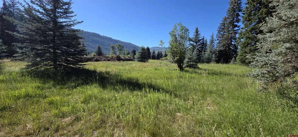 201 Golden Forest RD Bayfield, CO 81122