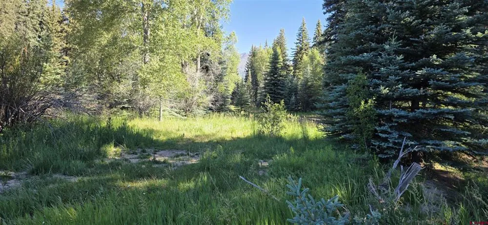 201 Golden Forest RD Bayfield, CO 81122