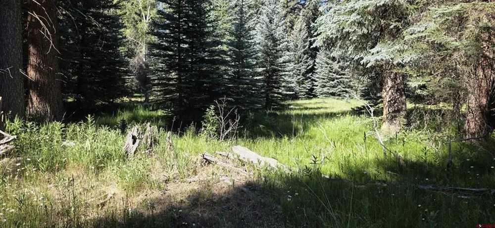 201 Golden Forest RD Bayfield, CO 81122