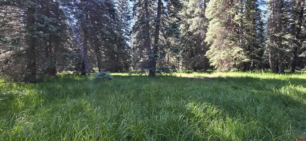 201 Golden Forest RD Bayfield, CO 81122