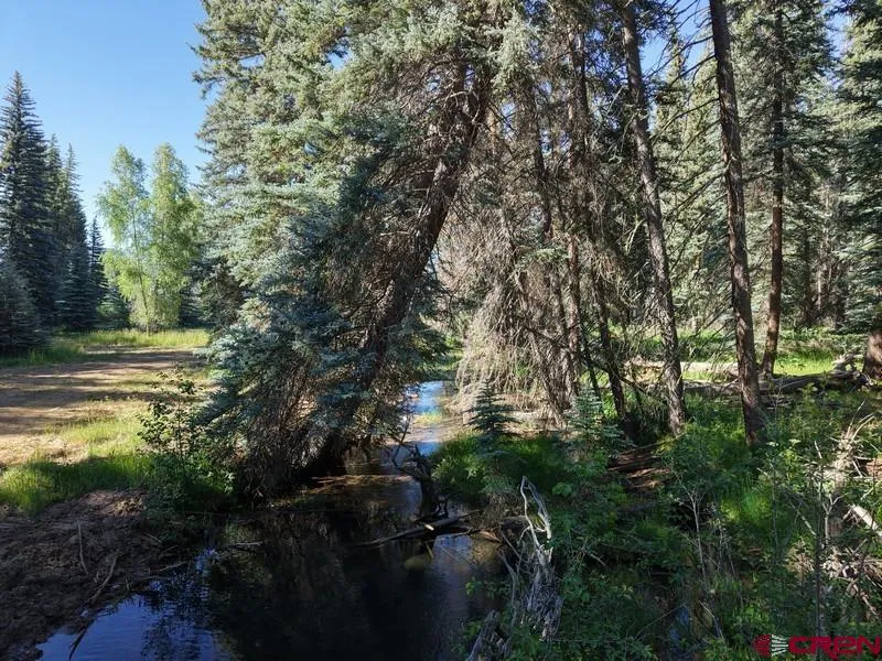201 Golden Forest RD Bayfield, CO 81122