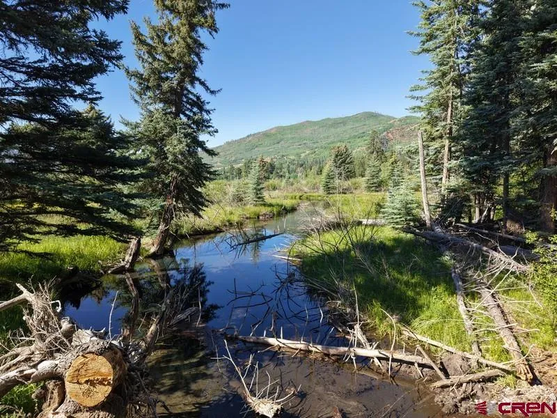 201 Golden Forest RD Bayfield, CO 81122