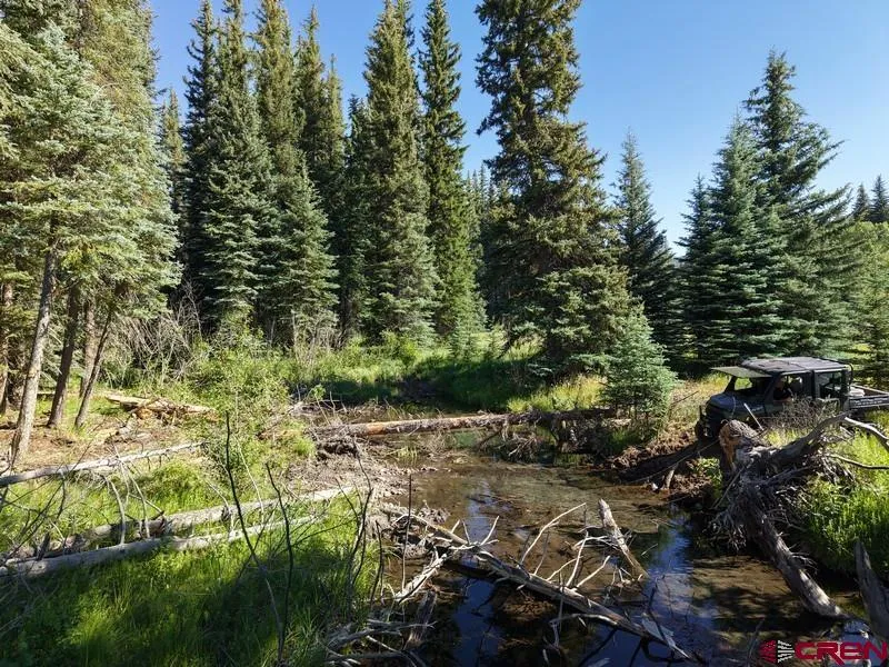 201 Golden Forest RD Bayfield, CO 81122