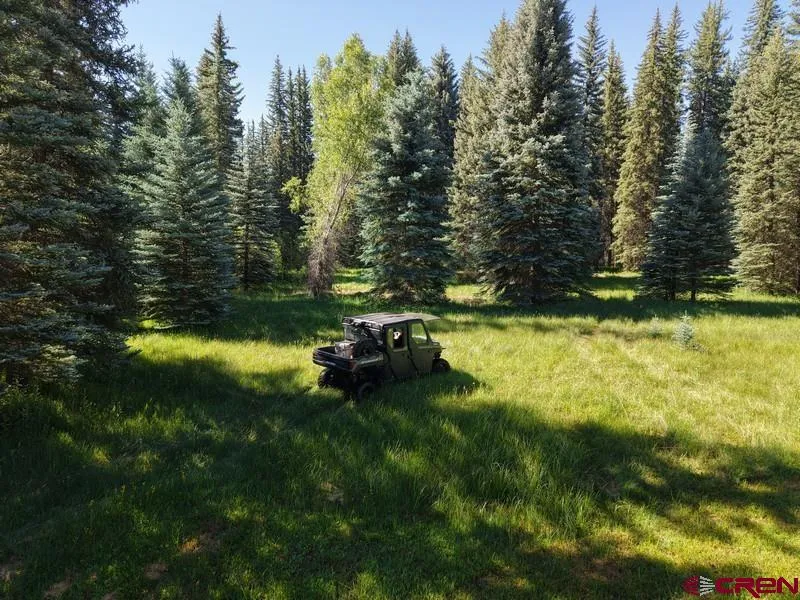 201 Golden Forest RD Bayfield, CO 81122