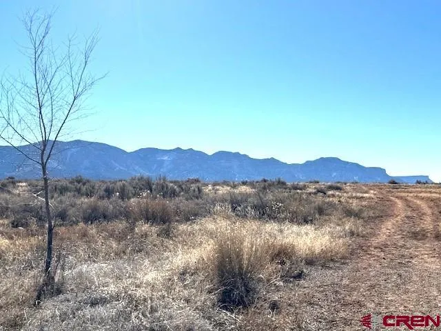 119 TBD Nicolette Way Cortez, CO 81321