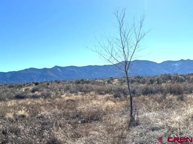 119 TBD Nicolette Way Cortez, CO 81321