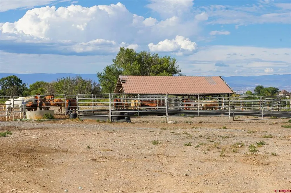 582 1600 ROAD Delta, CO 81416
