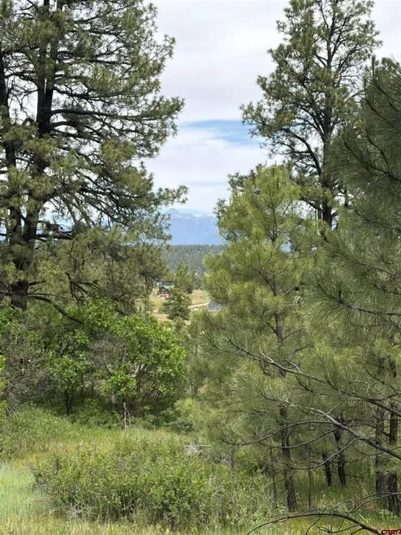 2321 Loma Linda Drive Pagosa Springs, CO 81147
