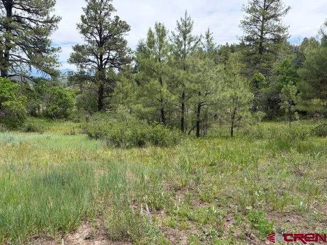 2321 Loma Linda Drive Pagosa Springs, CO 81147