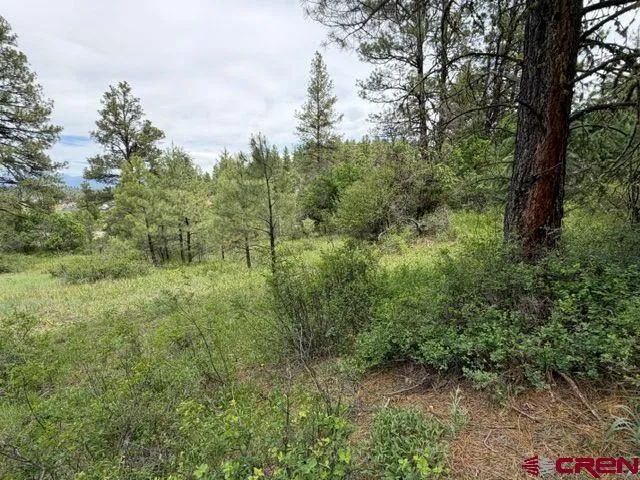 2321 Loma Linda Drive Pagosa Springs, CO 81147