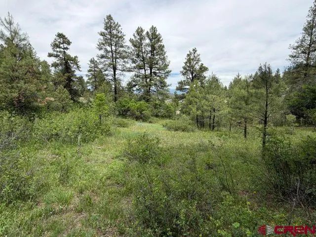 2321 Loma Linda Drive Pagosa Springs, CO 81147