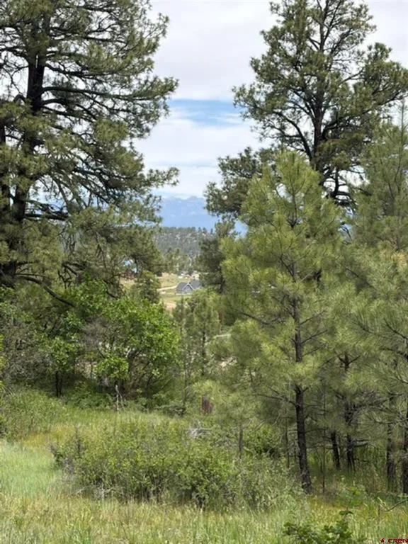 2321 Loma Linda Drive Pagosa Springs, CO 81147
