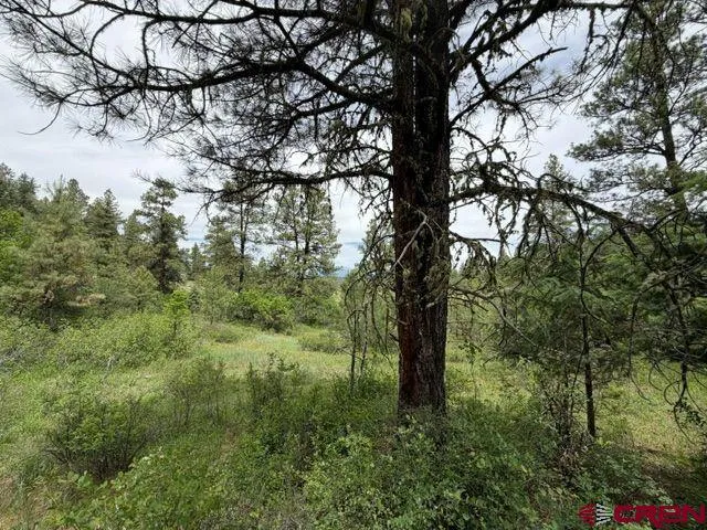 2321 Loma Linda Drive Pagosa Springs, CO 81147