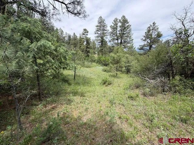 2321 Loma Linda Drive Pagosa Springs, CO 81147