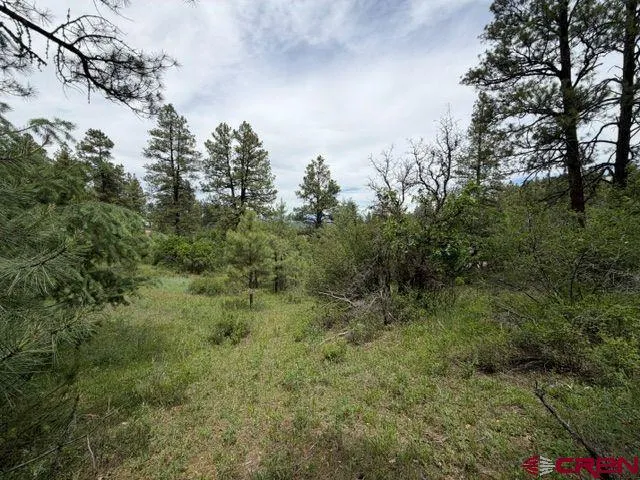 2321 Loma Linda Drive Pagosa Springs, CO 81147