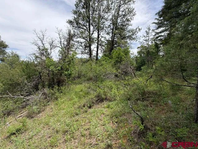 2321 Loma Linda Drive Pagosa Springs, CO 81147