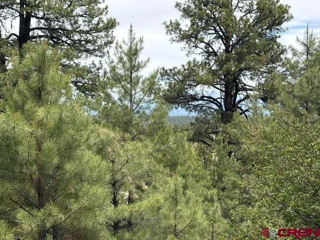2321 Loma Linda Drive Pagosa Springs, CO 81147