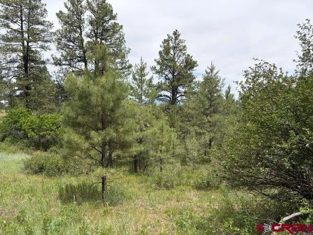 2321 Loma Linda Drive Pagosa Springs, CO 81147