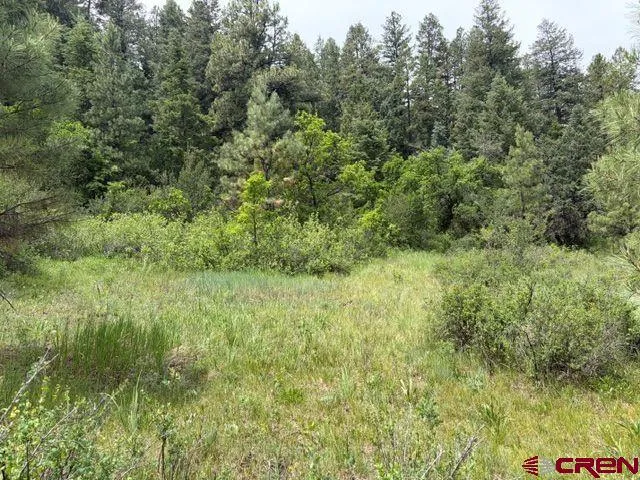 2321 Loma Linda Drive Pagosa Springs, CO 81147