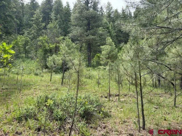 2321 Loma Linda Drive Pagosa Springs, CO 81147