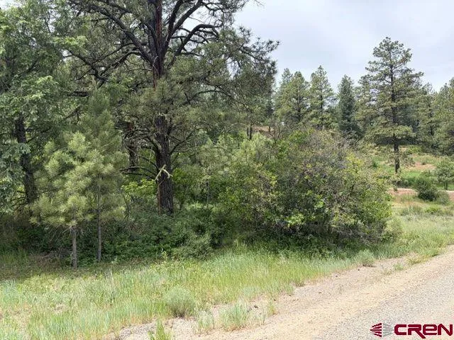 2321 Loma Linda Drive Pagosa Springs, CO 81147