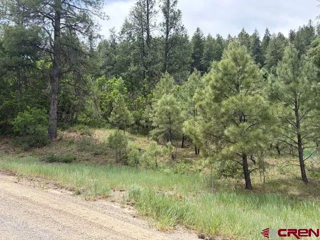 2321 Loma Linda Drive Pagosa Springs, CO 81147