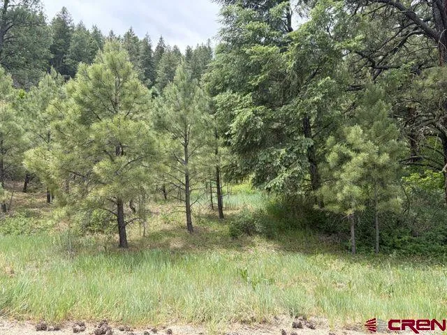 2321 Loma Linda Drive Pagosa Springs, CO 81147